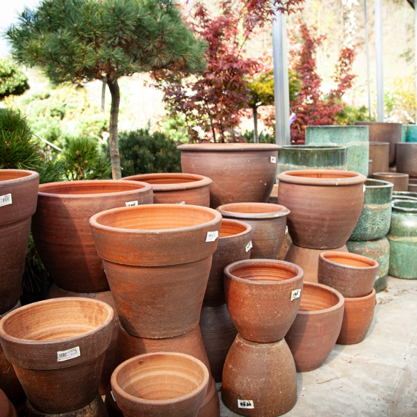 Poteries et jardinières, les jardins de la fontaine, votre pépiniériste au cœur du Jura, entre Oyonnax et Lons-le-Saunier